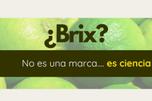 portadas MAXINEWS (14)